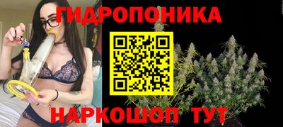 МДПВ Волжск