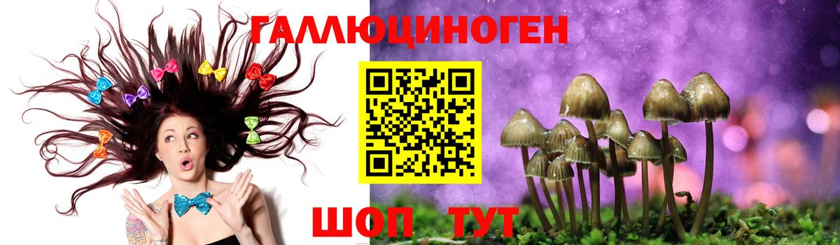 Галлюциногенные грибы прущие грибы Сатка