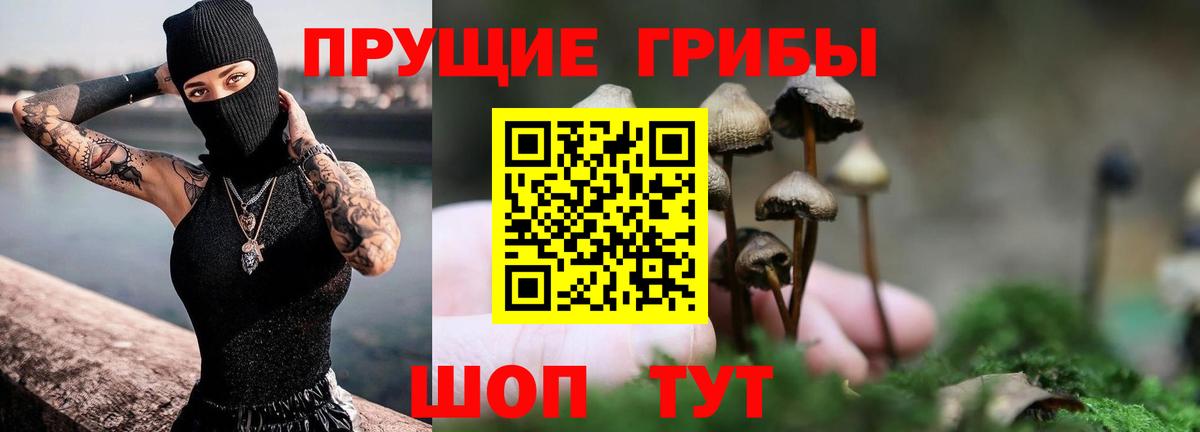 как найти   Галлюциногенные грибы GOLDEN TEACHER  Вход с VPN  Сатка 
